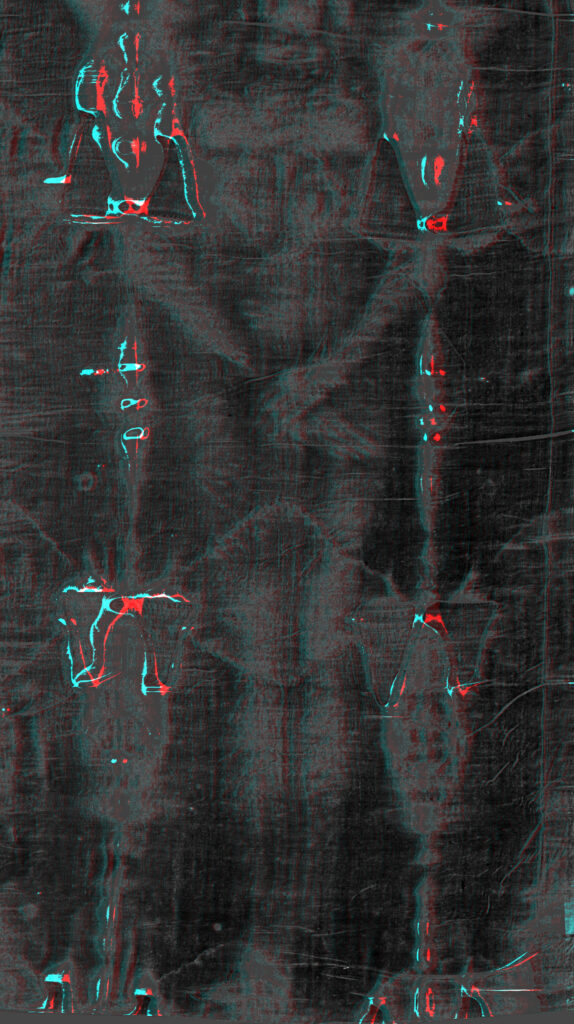 Ventral view (ANAGLYPH 3D GLASSES)