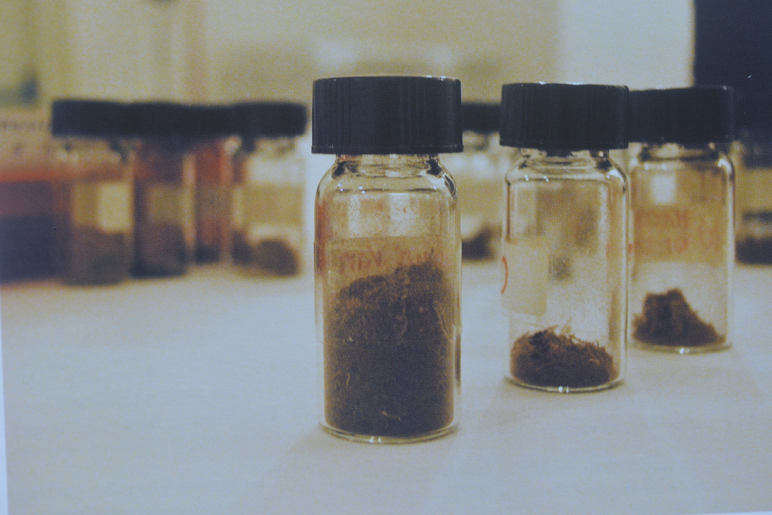 Photo C. Vials with charred materials